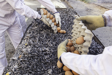 Eggs in a charcoal grilling
