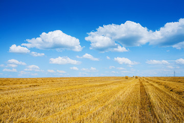 field at after harvest agricultural concept