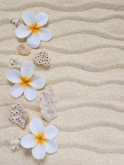 Fototapeta na wymiar Tiare flowers and corals on the sand