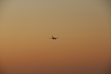 The sky