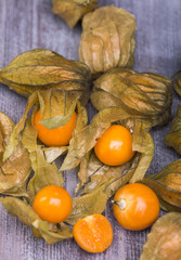 physalis