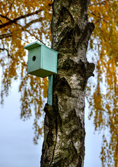 Birdhouse