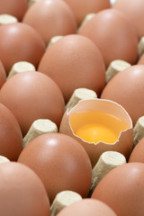 Vertical image of Cardboard egg box with one broken egg.