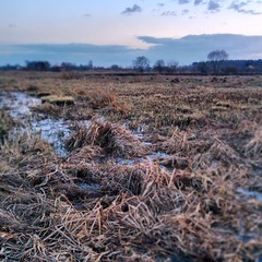 After sunset spring landscape