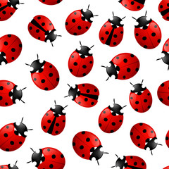 Fototapeta premium Seamless pattern with red ladybugs