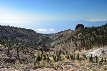 paysage de montagne