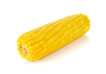 Corn isolated on a white background