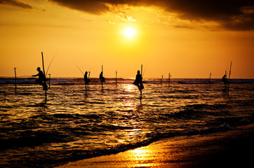 Silhouettes of the traditional stilt fishermen at the sunset nea