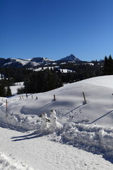 Fototapeta na wymiar Schneepärchen am Oberjoch