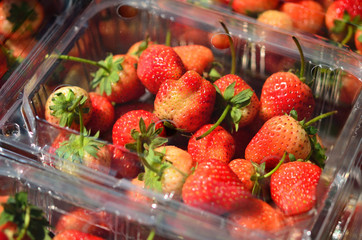 Strawberries in a plastic package