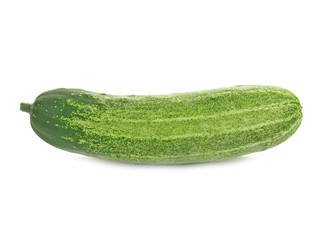 Cucumber isolated green striped white background