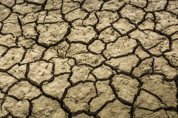 Global Warming Background