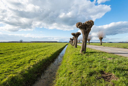 Straight ditch along the grassland on a sunny day