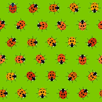 Seamless Pattern with Orange Ladybugs. Seamless vector.
