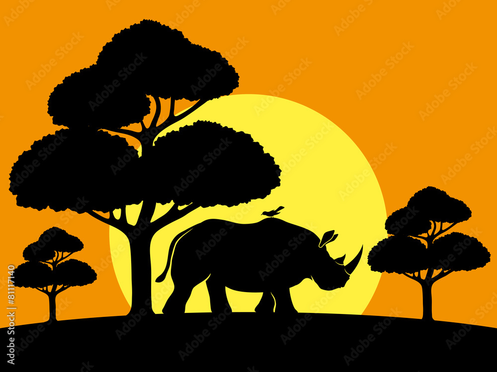 Wall mural Vector illustration. Rhinoceros.