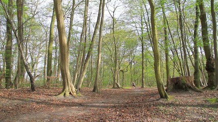 People running together in forest
