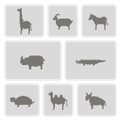 set of color icons with wild animals for your design