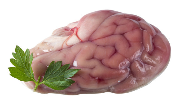 Pork brain