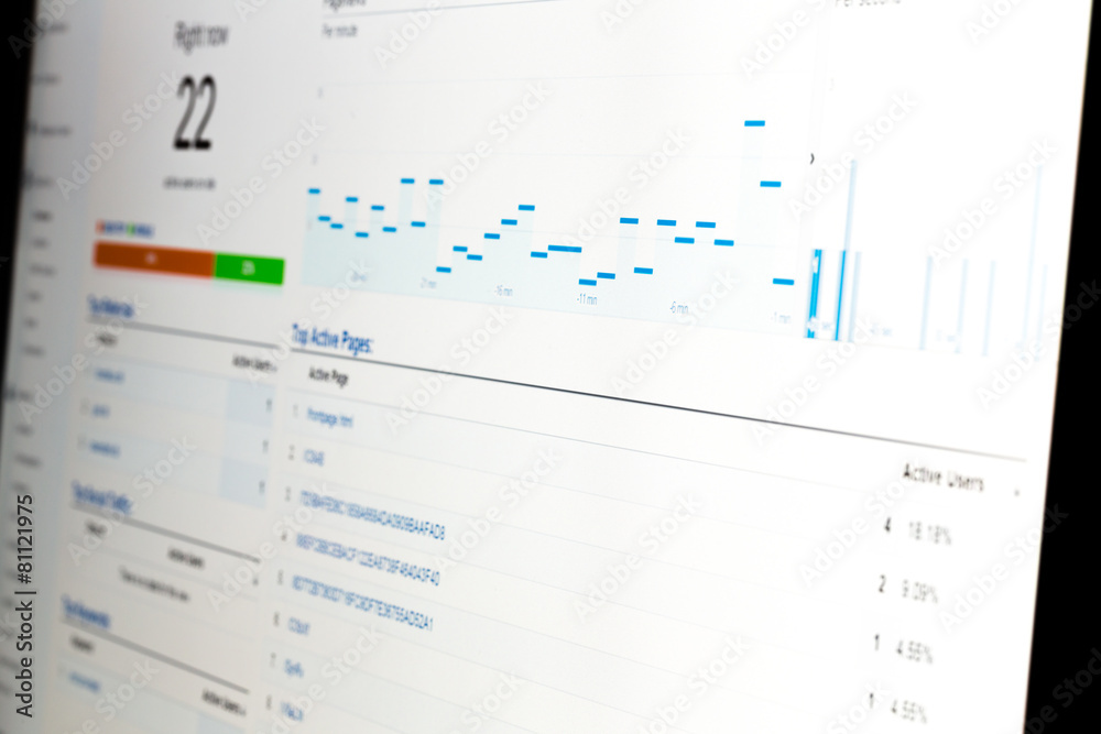 Wall mural web analytics data on computer monitor