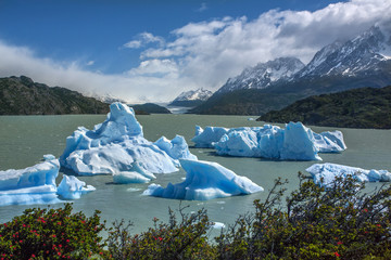 Icebergs in Grey Lake - Patigonia - Chile
