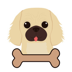 Dog design, vector illustration.
