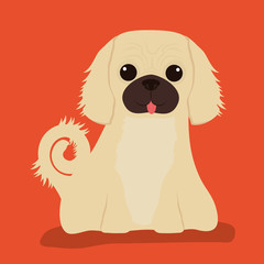 Dog design, vector illustration.