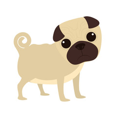 Dog design, vector illustration.