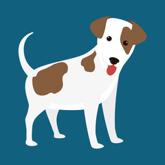 Fototapeta premium Dog design, vector illustration.