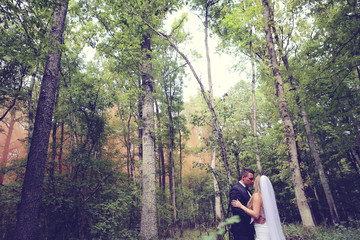 Bride  and groom in the forest