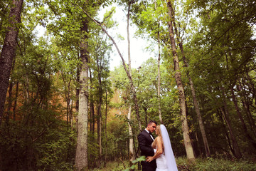 Bride  and groom in the forest