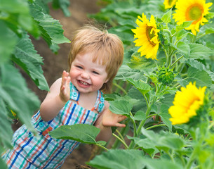 Little boy playing on the sunflower field