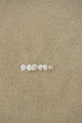 Fototapeta na wymiar Minus-Zeichen und Bindestrich aus Schneckenhäuschen im Sand