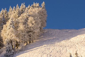 Tiefschneepiste in der Morgensonne