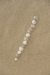 Fototapeta na wymiar Schrägstrich aus Schneckenhäuschen auf Sand