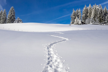 Fototapeta premium Spur von Schneeschuhwanderern im Schnee