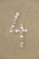 Fototapeta na wymiar Zahl 4 aus Schneckenhäuschen im Sand