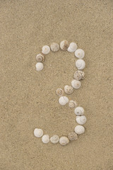 Fototapeta na wymiar Zahl 3 aus Schneckenhäuschen im Sand