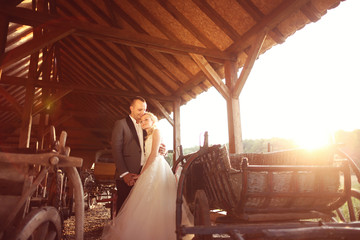 Fototapeta na wymiar Bride and groom in a carriage