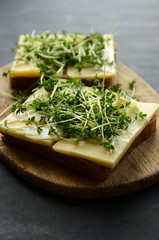 Tasty bread with cheese and cress