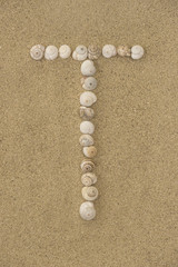 Alphabet Buchstabe T aus Schneckenhäuschen