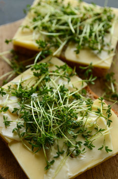 Tasty bread with cheese and cress