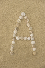 Alphabet Buchstabe A aus Schneckenhäuschen