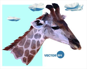 vector portrait of a giraffe