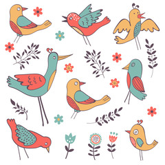 Cute hand drawn colorful birds collection