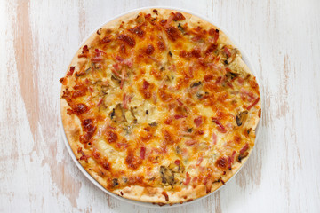 pizza on white background