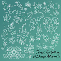Fototapeta na wymiar Vector Floral Collection of Hand Drawn Design Elements