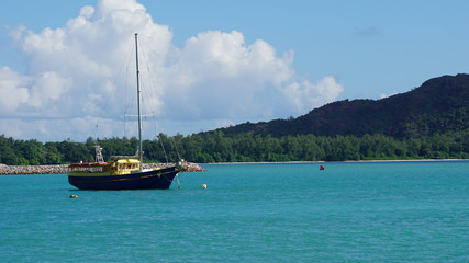 tropical harbor