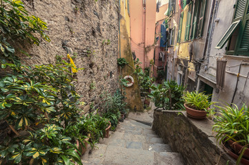 Fototapeta na wymiar Street in the seaside town in the National Park of Cinque Terre,