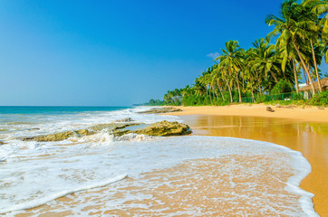 Amazing view of exotic sandy beach with high palm trees