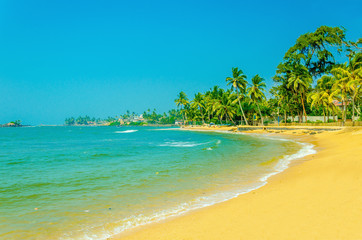 Amazing view of exotic sandy beach with high palm trees